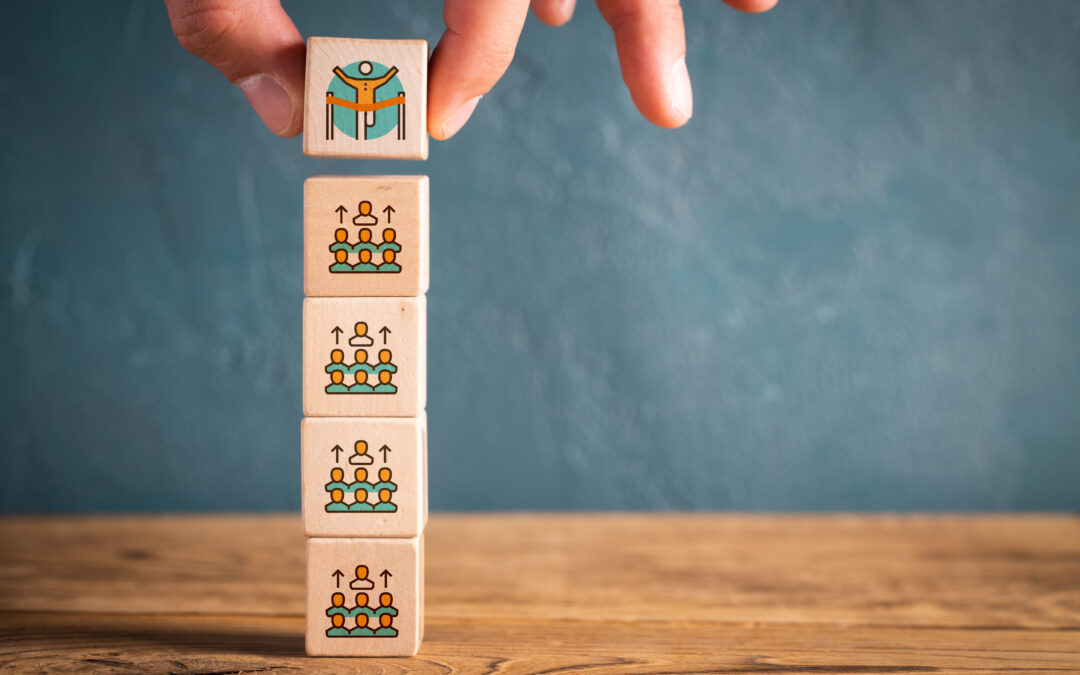 Schulentwicklung in der Praxis