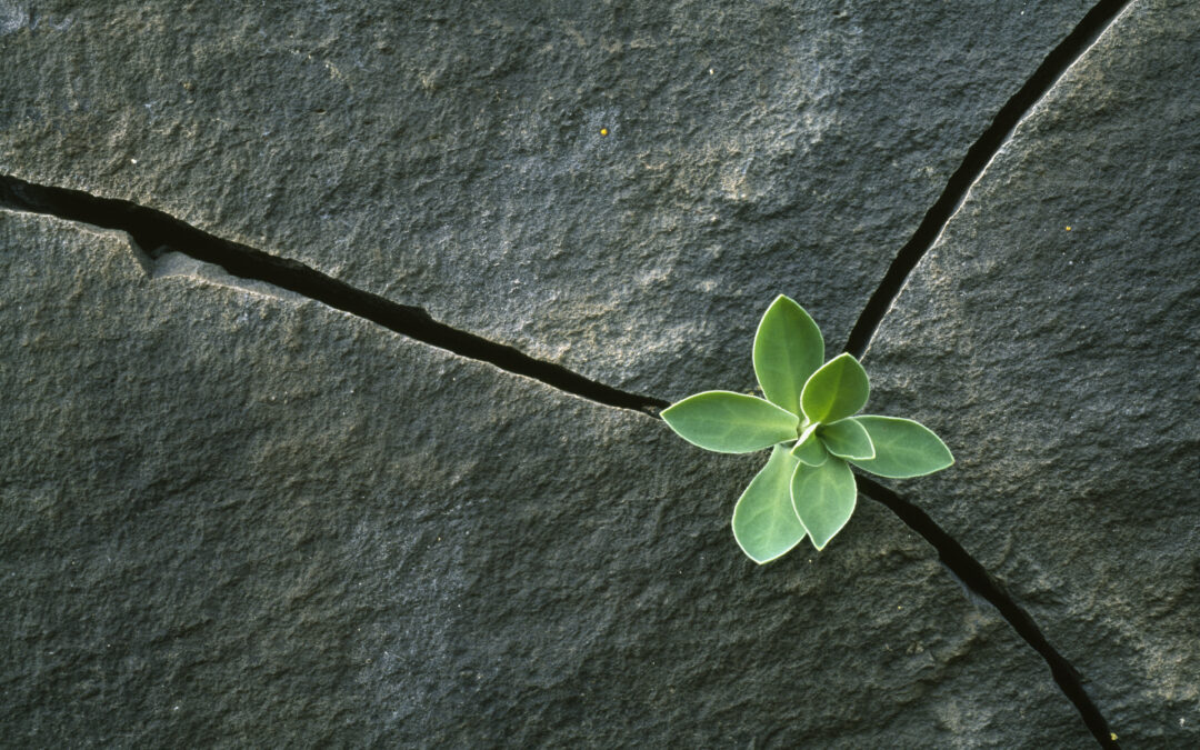Resilienz für Schulleitungen