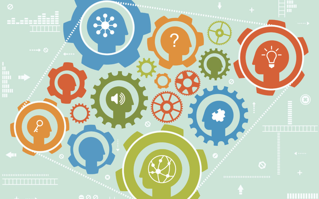 Schulkultur verstehen