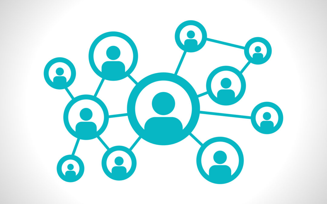 Schulische Netzwerke in der Region