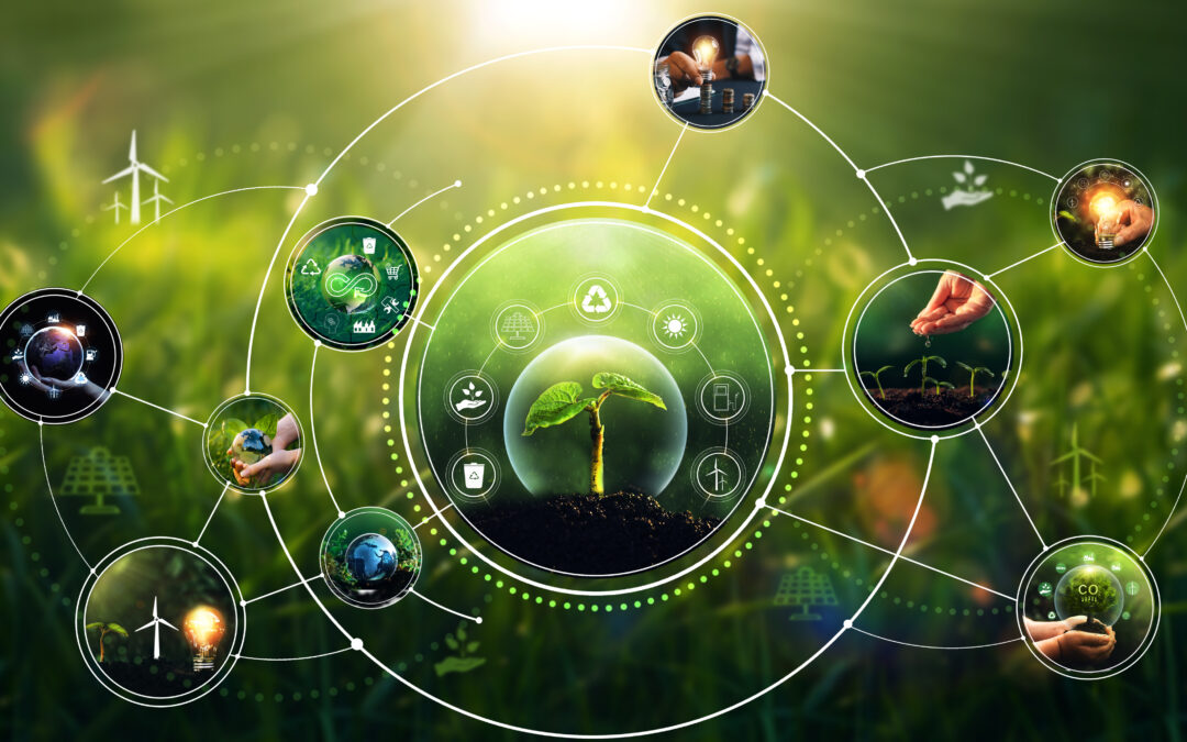 Whole School Approach und BNE